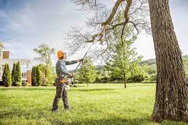 Best Grass Overseeding  in Mead Valley, CA